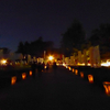 遷宮特別夜間拝観へ♪ @上賀茂神社