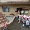 噴水と💦梅と🌞