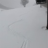 鹿島槍　3月24日レポート　軽めの新雪15ｃｍ、明日まで降り続くか？