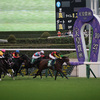 2017年3月2日の競馬ニュース