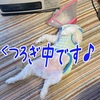 それはないよ。もっくん(^^;)