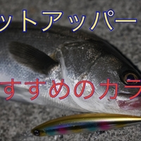 セットアッパー125s Dr 青物狙いのフックセッティング じーあーるえす184 セットアッパー125s Dr 青物狙いのフックセッティング じーあーるえす184