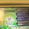 エアームド オメガルビー 群れバトル 23時には寝るblog