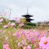 法起寺 🎵