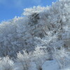 雪道でのトラブル