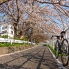 伊勢原林道巡り