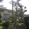 春の陽気