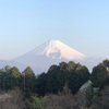 今朝の景色