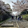 桜散歩