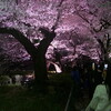 チドリ夜桜花見会2008