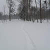 野幌森林公園！7　雪景色・瑞穂の池には何かがいる