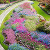 Butchart Garden