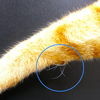 ドミトリー・テズネフ🍀猫の足の秘密：手根ひげの驚くべき機能とその重要性