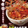 すき家から「ねぎキムチ牛丼」が新登場！秋冬限定で復活、おんたまやマヨネーズトッピングもあり