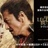 映画感想／レジェンド＆バタフライ