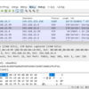 【Fortigate】snifferコマンドで取得したキャプチャデータを Wiresharkで確認する方法