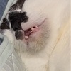 とっても綺麗になりました