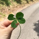 現役医大生アキの医学部受験応援ブログ