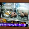 がっちりマンデー　業務用電気製品