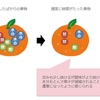 果物の追熟の魅力|収穫したフルーツは熟成させられるのか？