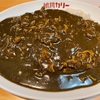 甘辛いスパイシーなカレー！！！