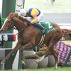 1.6(土)　競馬　京都金杯とか