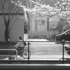 良い天気