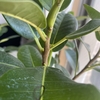 前に進むには