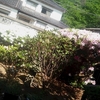 暑いなか