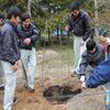 学問の木　植樹