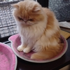 梅雨入り！