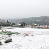 故郷は雪景色