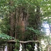 大國魂神社