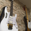 guitar cover 日記 \(( °ω° ))/