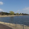 2026.3.17鶴沼～3.27志筑城跡公園