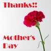 【Mother's Day】母の日に「カーネーション」を贈るのはなぜ？絶対に喜ばれる最強プレゼント3選！