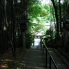 大神神社写真館(６/５)