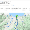 11kmウォーク、腰痛治らず