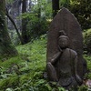 雨の御岩神社　水そして緑