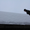 飛騨高山も豪雪です！！