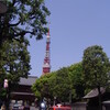 本物の東京タワー
