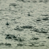 雨の音にも癒しの効果があるよ！