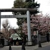 「上野恩賜公園」で「枝垂れ梅」と早咲きの「河津桜、カンザクラ」見物！！