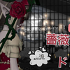 これが"＃会心のレイン"だ！・・・〖Rose〗