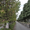 京都大学農学部表門