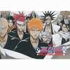 BLEACH-ブリーチ- トランプ ジャンプフェスタ2007グッズを持っている人に  大至急読んで欲しい記事