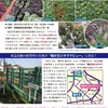 横浜市の錦が丘で桜まつり、花苗などの即売会もあります