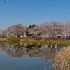 偏光フィルターと水面