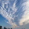 虚勢