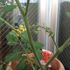 生きている実感